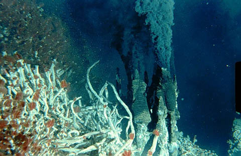Hydrothermal Vent (46Kb)