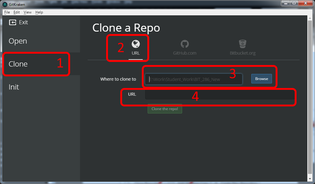 clone repo window