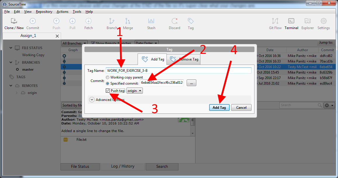 Tagging in SourceTree: Tag... dialog box