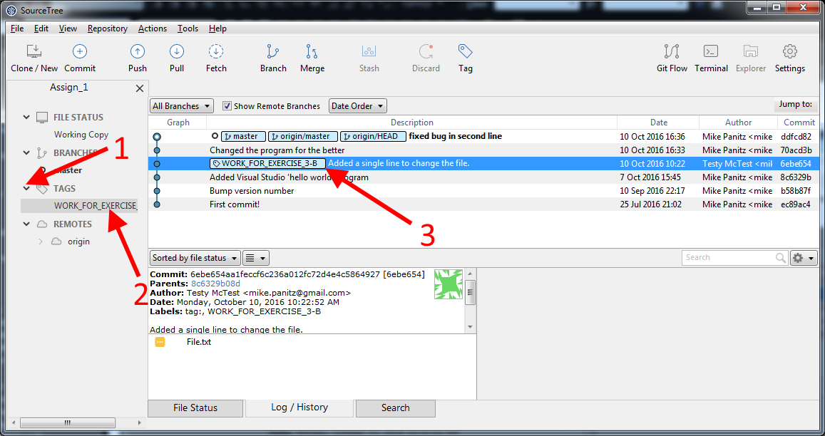 Viewing Tags in SourceTree